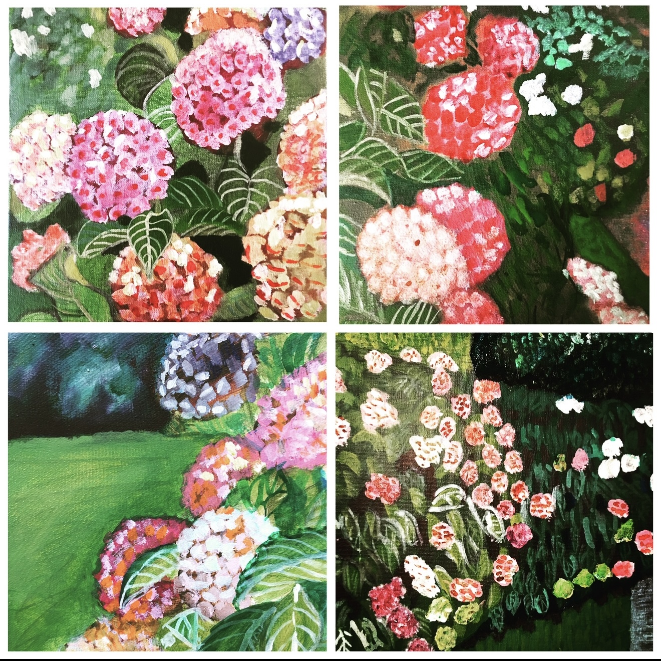 Hortensias