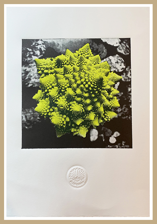 'Romanesco'